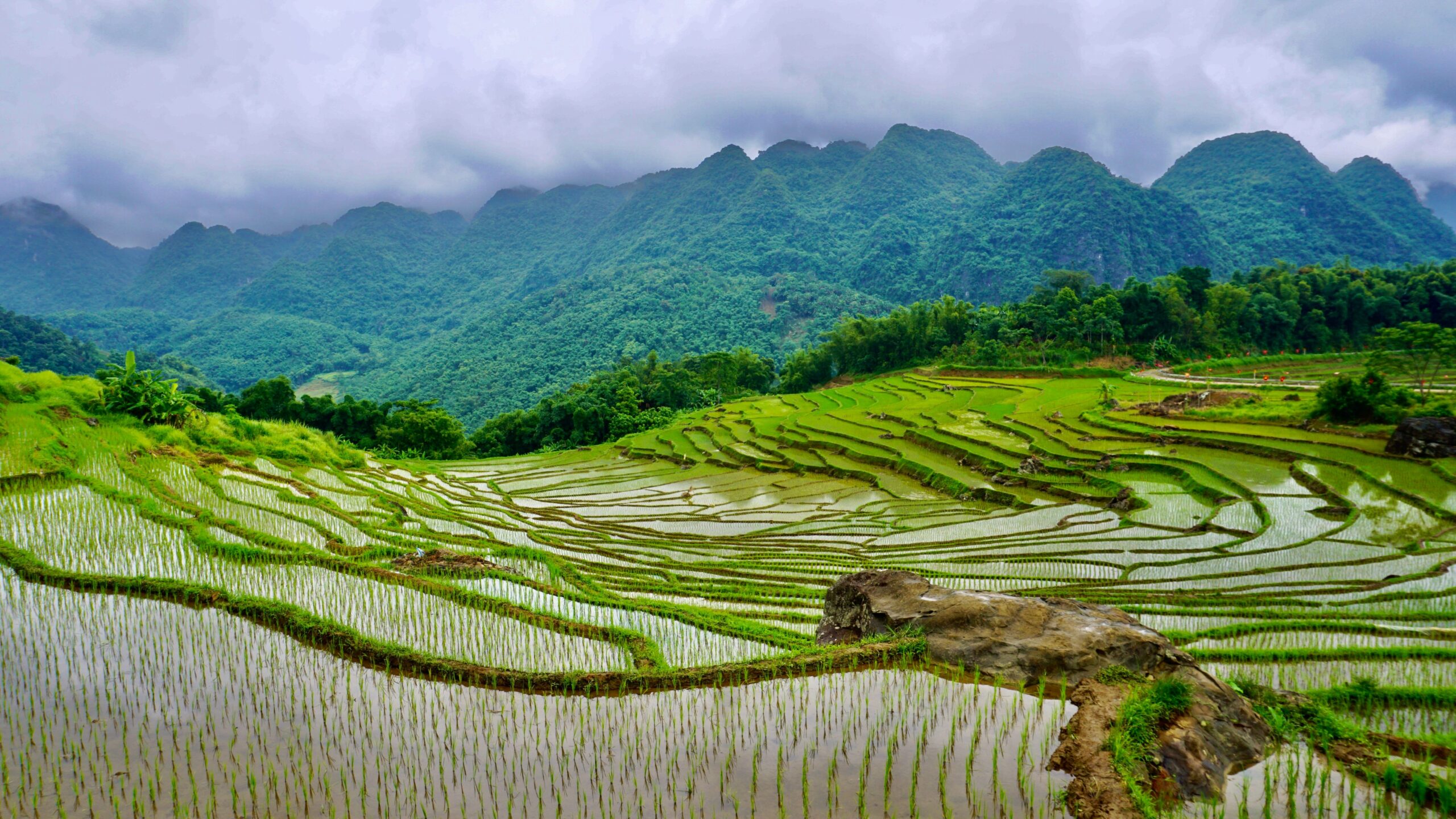Vietnam ontdekken als backpacker: cultuur, eten en bijzondere gewoontes